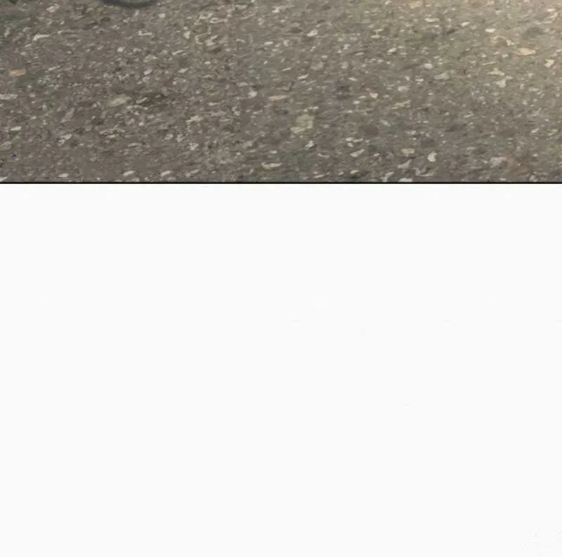 21st Century Retrogression Chapter 3 Gambar 76