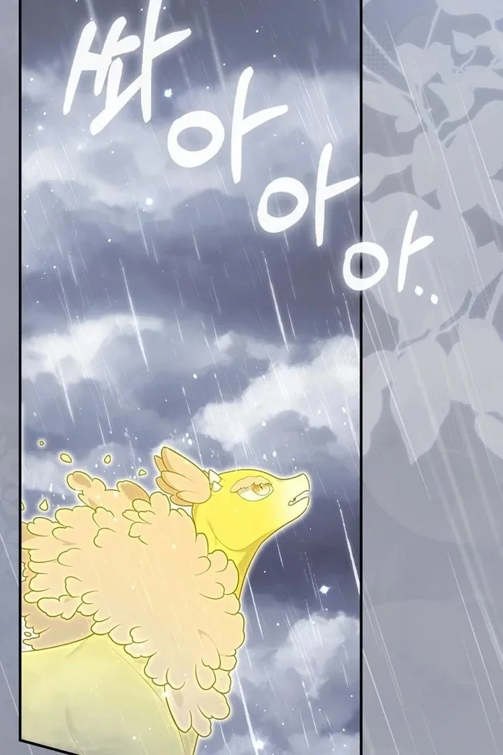 A Princess Who Reads Fortune Chapter 95 Gambar 101