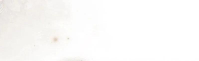 A Wicked Husband Chapter 25 Gambar 26