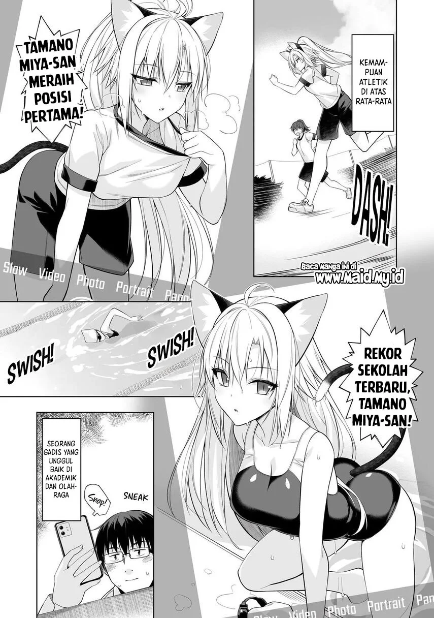 Anata wa Watashi no Geboku desu – Neko to Geboku no Himitsu no Kankei Chapter 1 Gambar 6