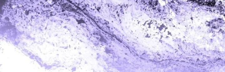 Black Killer Whale Baby Chapter 87 Gambar 58