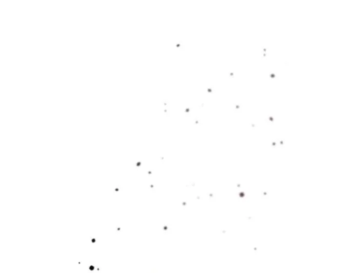 Black Killer Whale Baby Chapter 90 Gambar 44