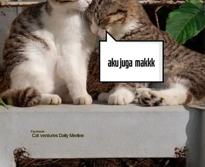 Cosmic Heavenly Demon 3077 Chapter 81 Gambar 102