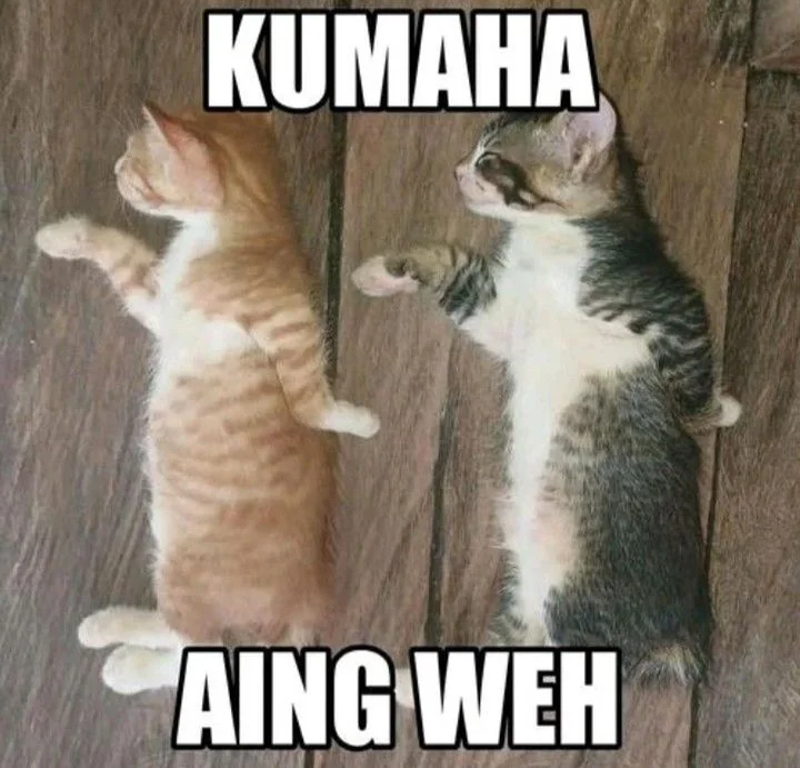 Cosmic Heavenly Demon 3077 Chapter 83 Gambar 105