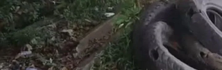 Golden Core Is a Star You Call This Cultivating Immortality Chapter 32 Gambar 34