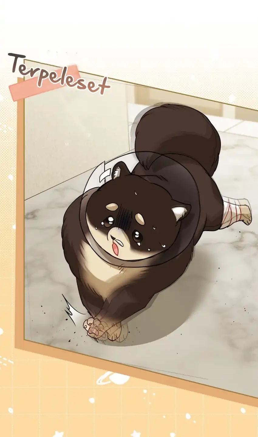 Hello? Veterinarian! Chapter 128 Gambar 17