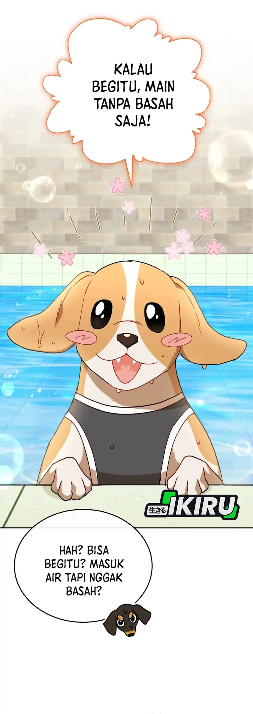 Hello? Veterinarian! Chapter 129 Gambar 43