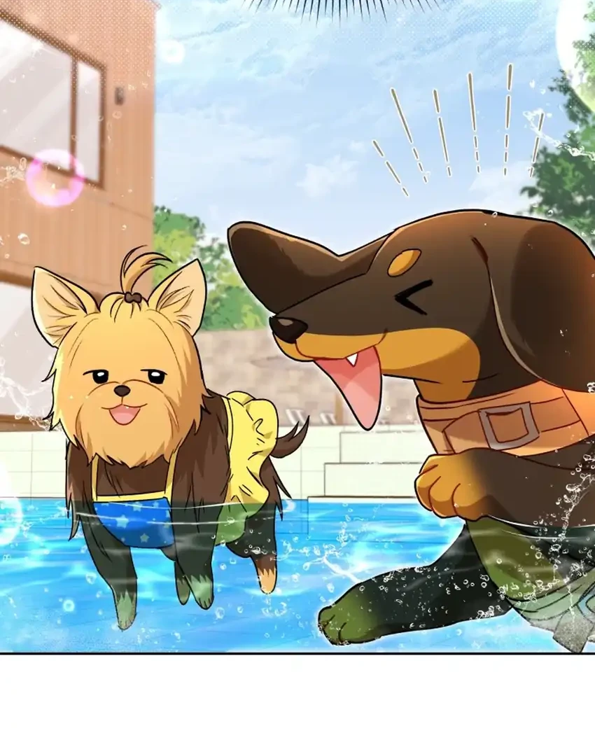 Hello? Veterinarian! Chapter 130 Gambar 32