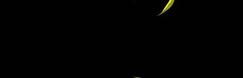 Hello? Veterinarian! Chapter 131 Gambar 34