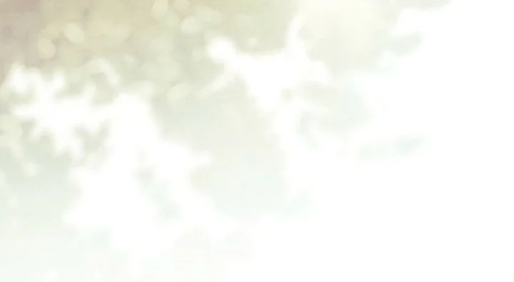 I Am the 5-Year-Old Spy Who Kidnapped the Villain Chapter 7 Gambar 24