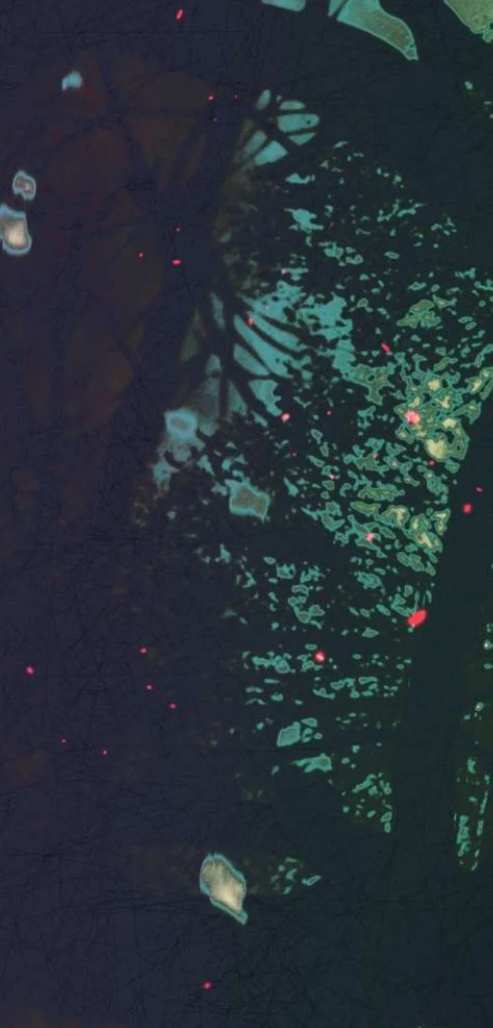 I Was Possessed, but It Became a Ghost Story Chapter 1 Gambar 72