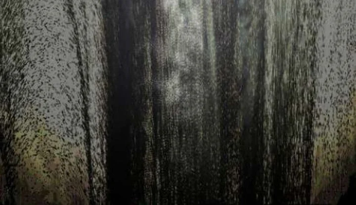 I Was Possessed, but It Became a Ghost Story Chapter 1 Gambar 101