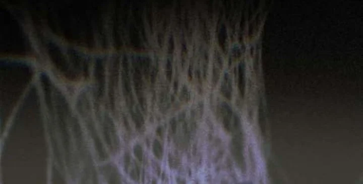 I Was Possessed, but It Became a Ghost Story Chapter 1 Gambar 108