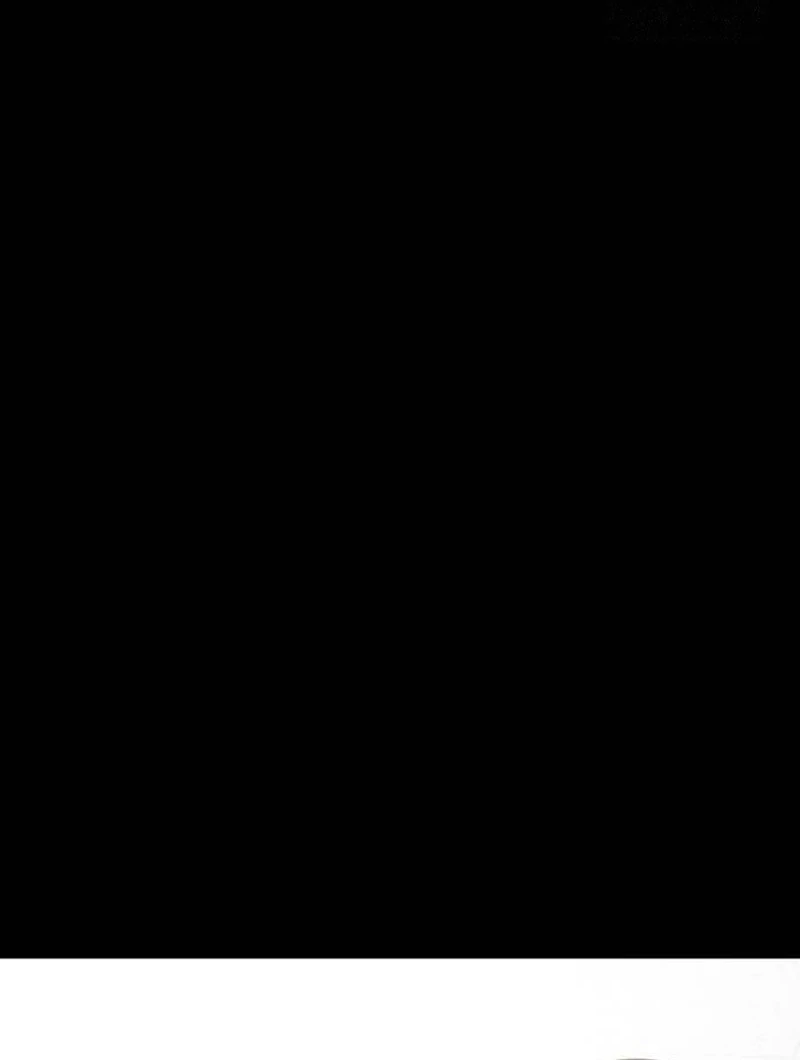 Plaything Chapter 36 Gambar 165