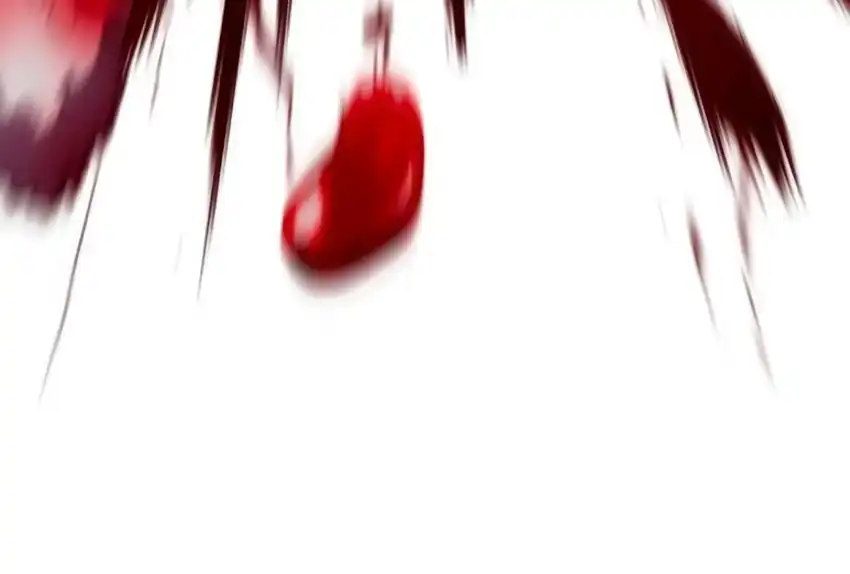 Plaything Chapter 66 Gambar 323