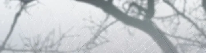 Reincarnated as a Genius Prodigy of a Prestigious Family Chapter 86 Gambar 12