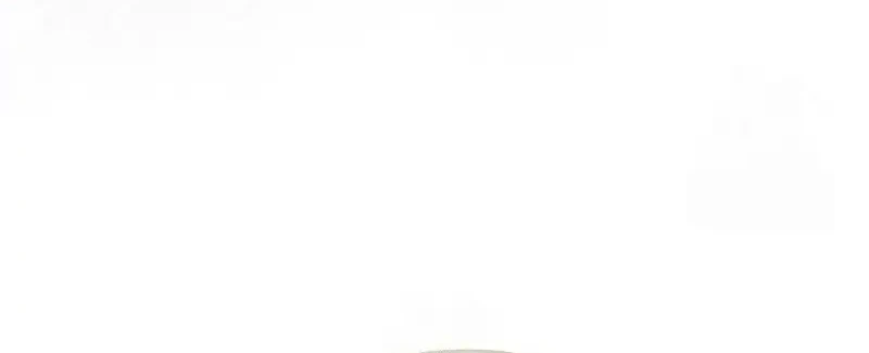 The Delusional Hunter in Another World Chapter 84 Gambar 17