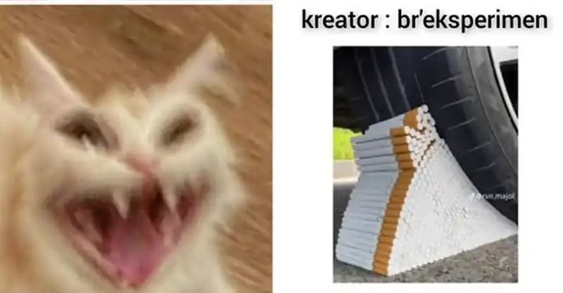 The Heavenly Path Is Not Stupid Chapter 175 Gambar 65