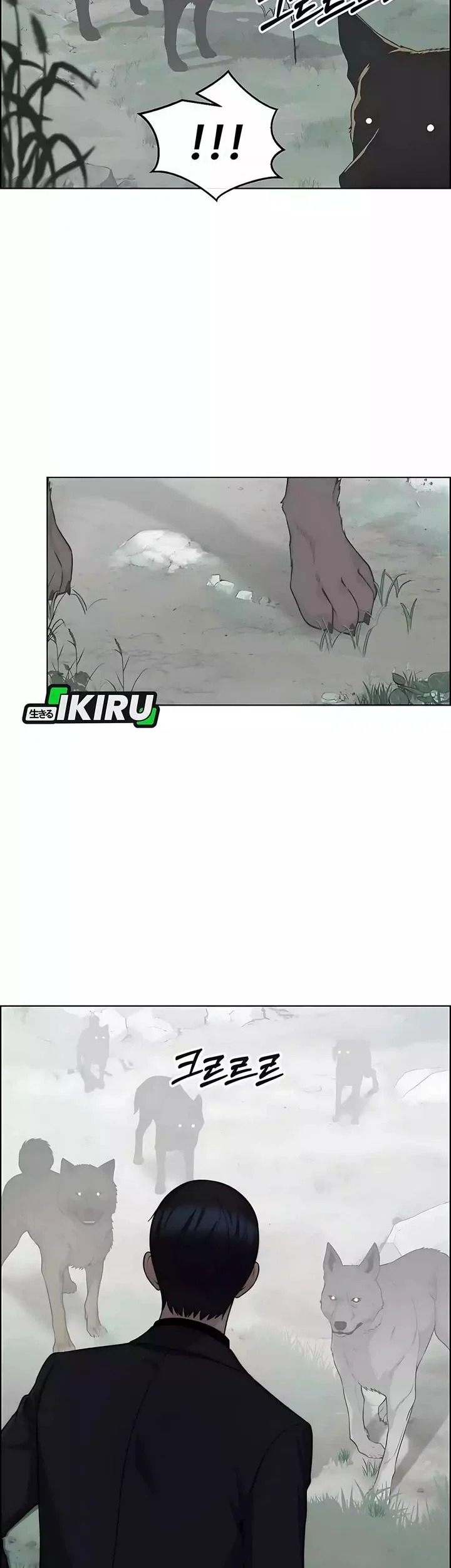 The Man   Chapter 247 Gambar 32