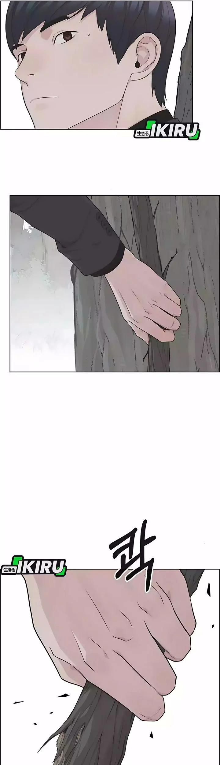 The Man   Chapter 247 Gambar 34