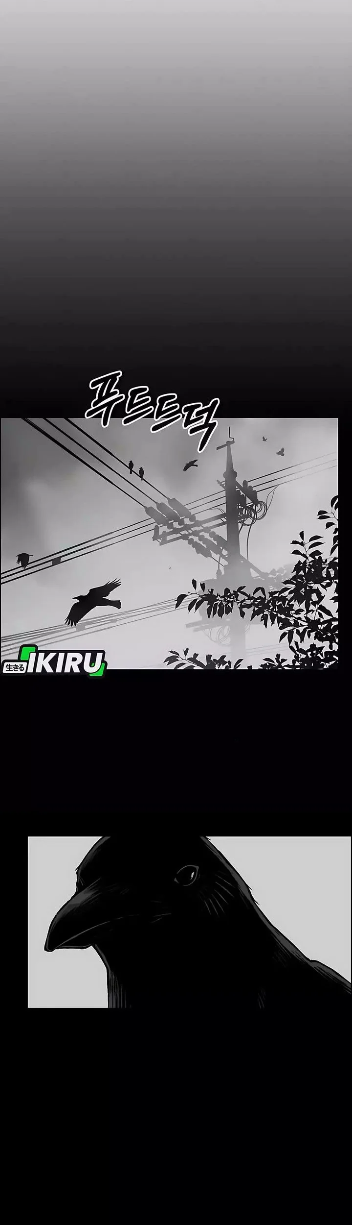 The Man   Chapter 247 Gambar 8