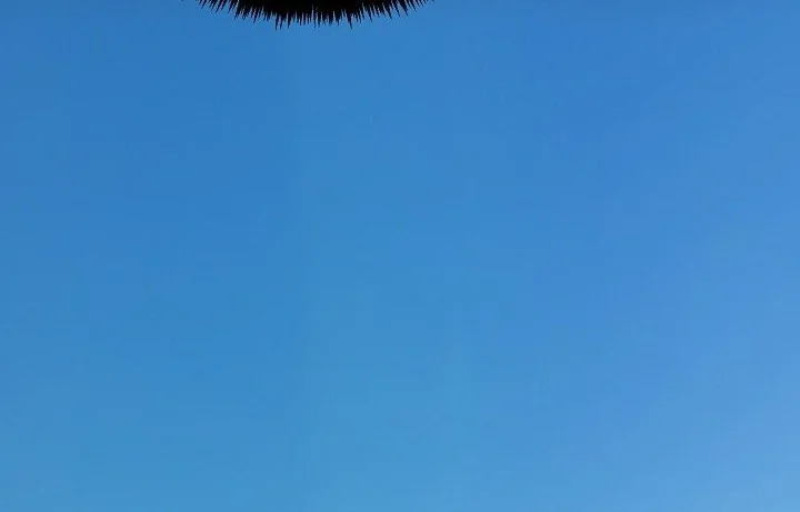 This is the Law Chapter 182 Gambar 59