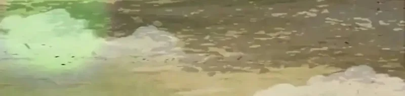 To Hell With the Status Window Chapter 8 Gambar 75