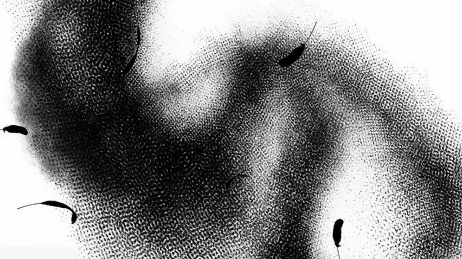 Undercover! Chaebol High School Chapter 93 Gambar 684