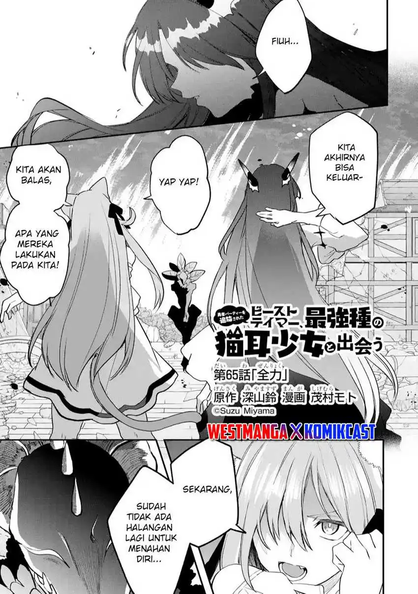  Yuusha Party wo Tsuihou Sareta Beast Tamer, Saikyou Shuzoku Nekomimi Shojo to Chapter 65 gambar 2